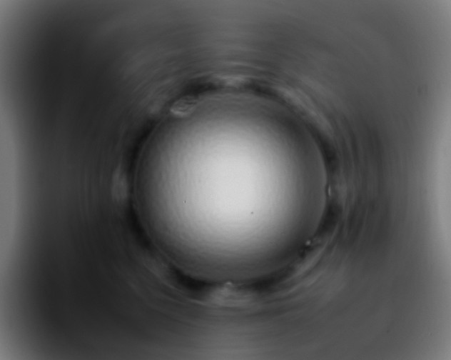 X0000092260568200709211121