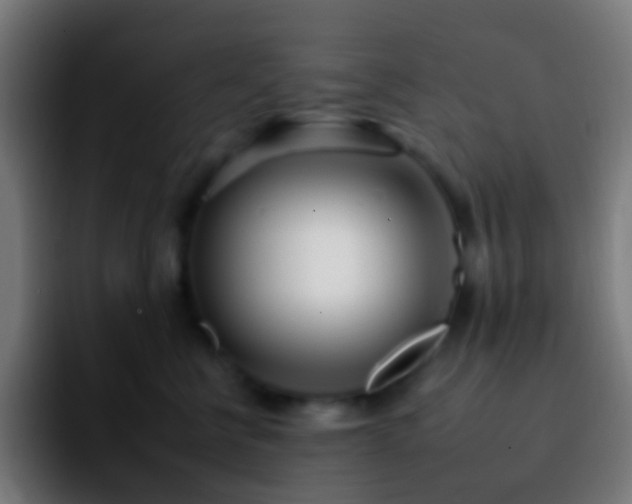 X0000092260570200709211121