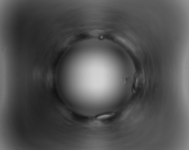 X0000092260572200709211121