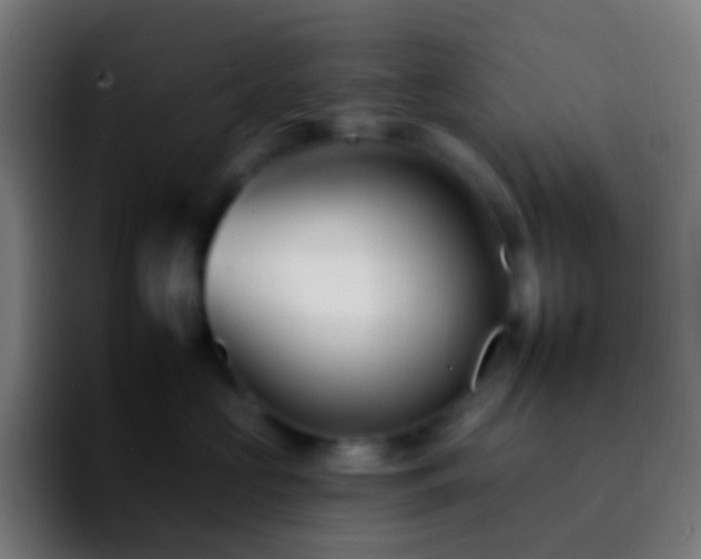 X0000092260573200709211121