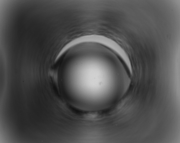 X0000092260574200709211121