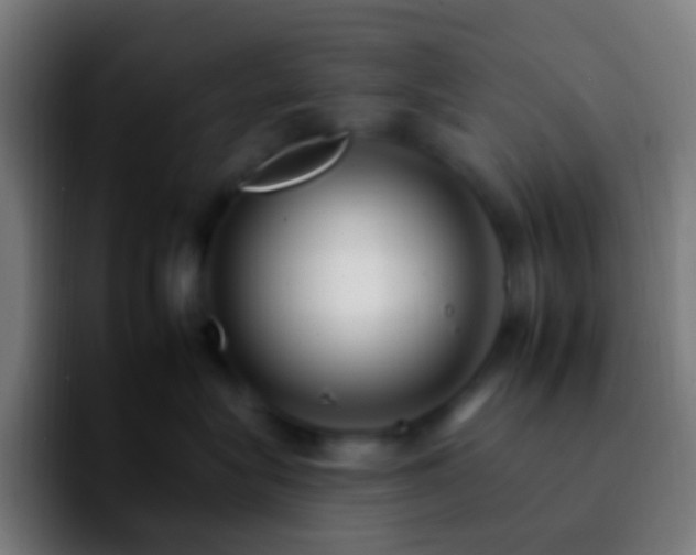 X0000092260575200709211121