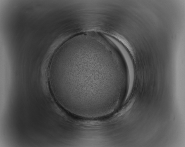 X0000092260577200709211121