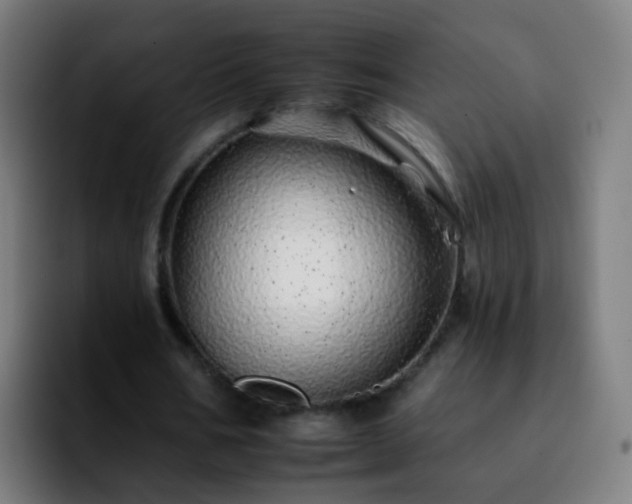 X0000092260578200709211121