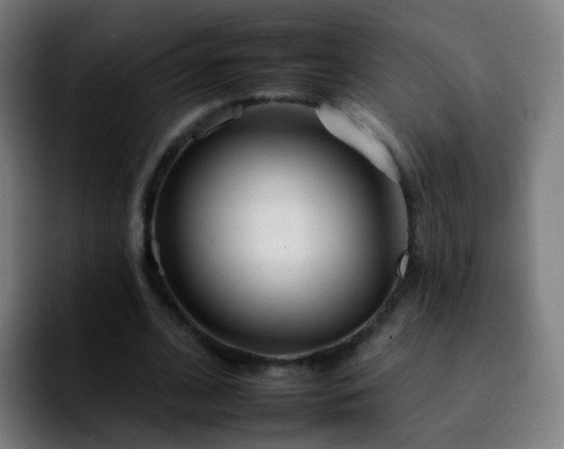 X0000092260584200709211121