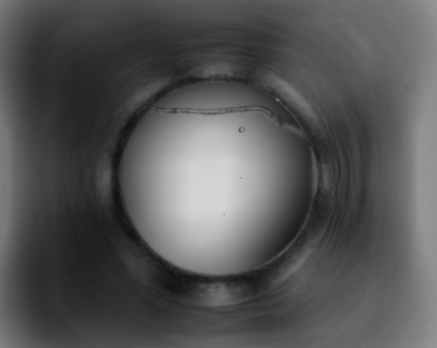 X0000092260588200709211121