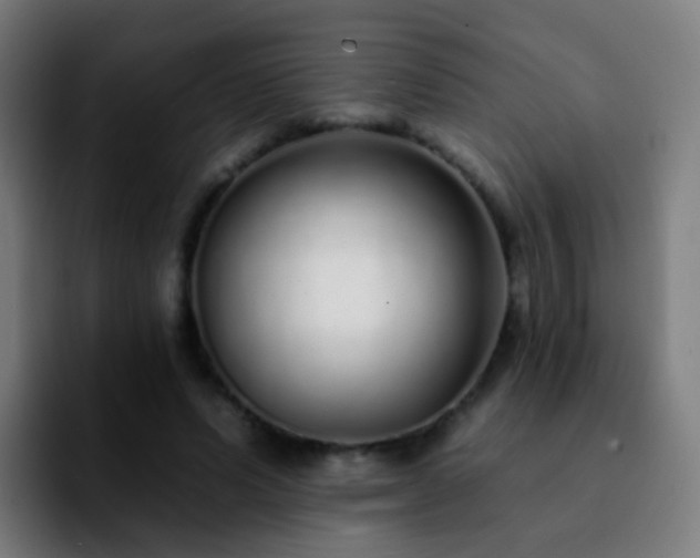 X0000092260591200709211121