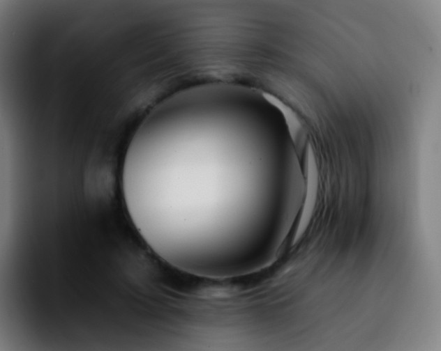 X0000092260595200709211120