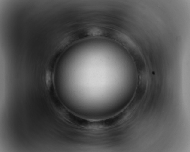 X0000092260598200709211120