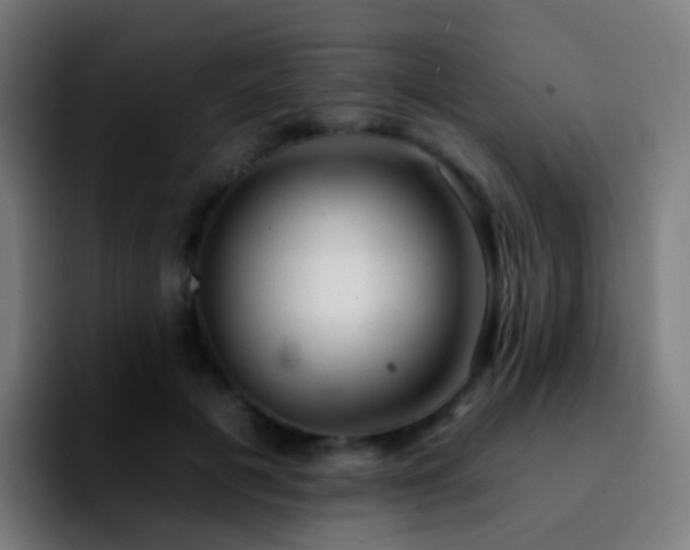 X0000092260601200709211120