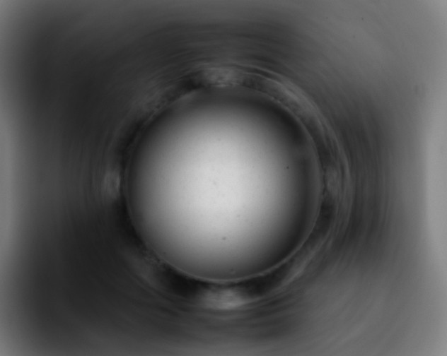 X0000092260602200709211120