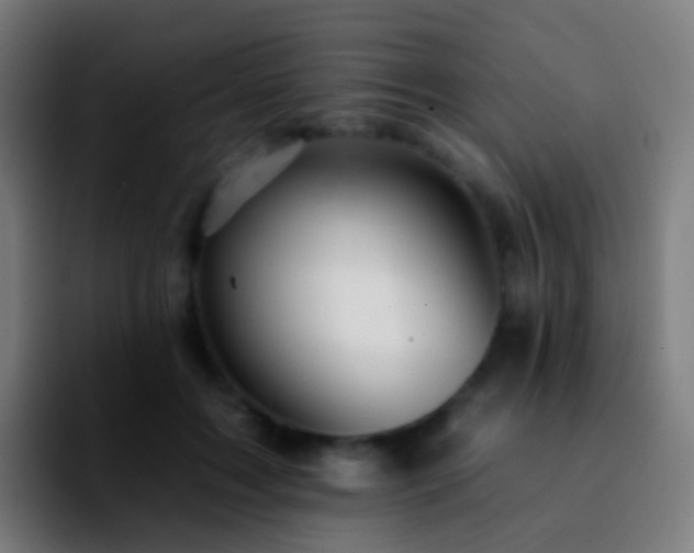 X0000092260603200709211120