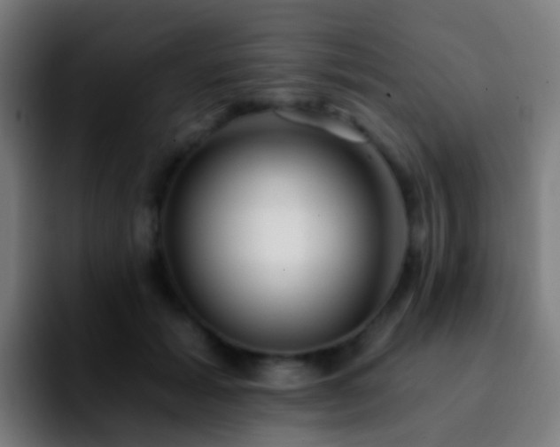 X0000092260605200709211120