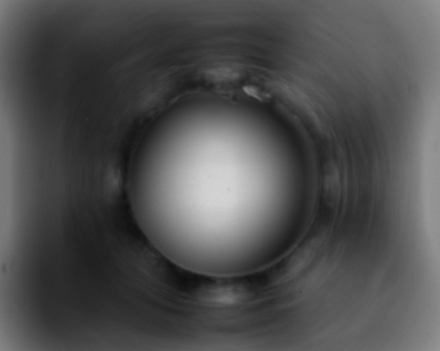 X0000092260608200709211120