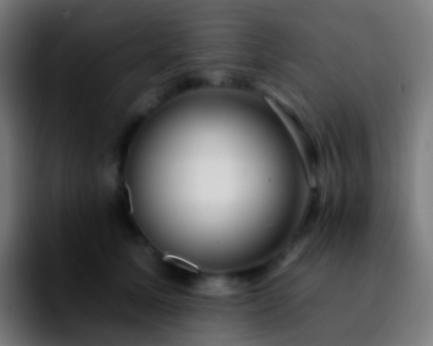 X0000092260611200709211120