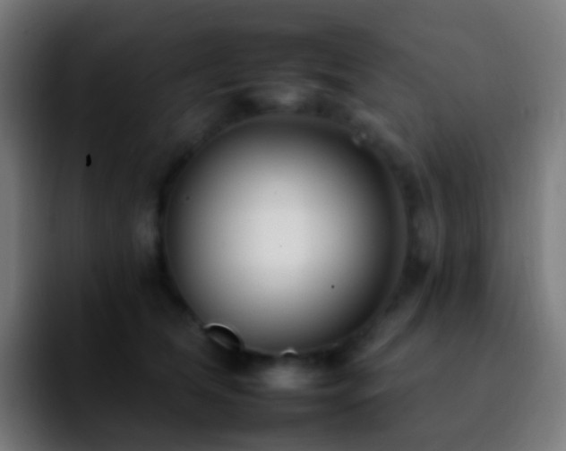 X0000092260612200709211120