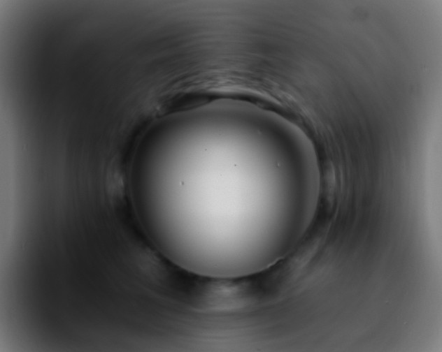 X0000092260613200709211120