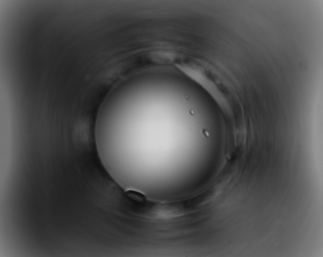 X0000092260616200709211120