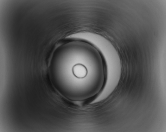 X0000092260617200709211120