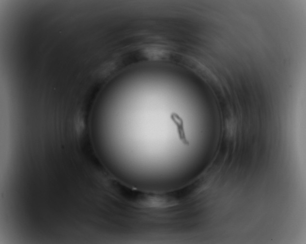 X0000092260618200709211120