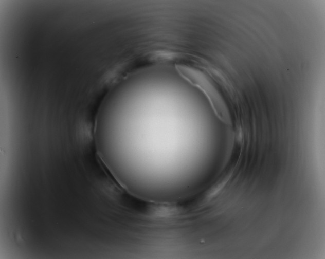 X0000092260621200709211120