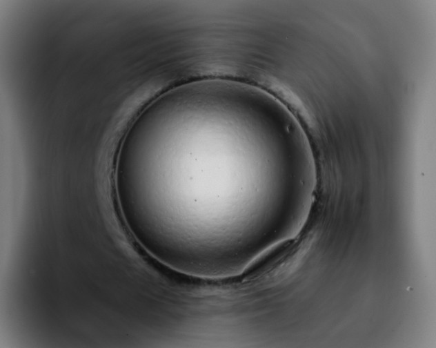 X0000092260625200709211120