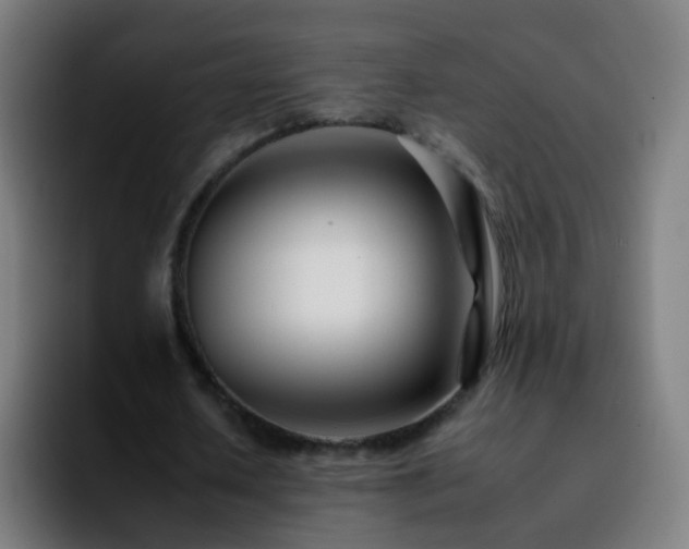 X0000092260626200709211120