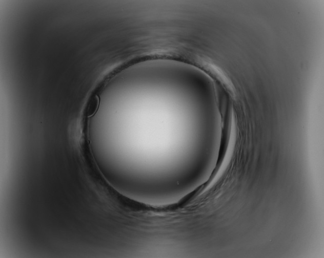 X0000092260628200709211120