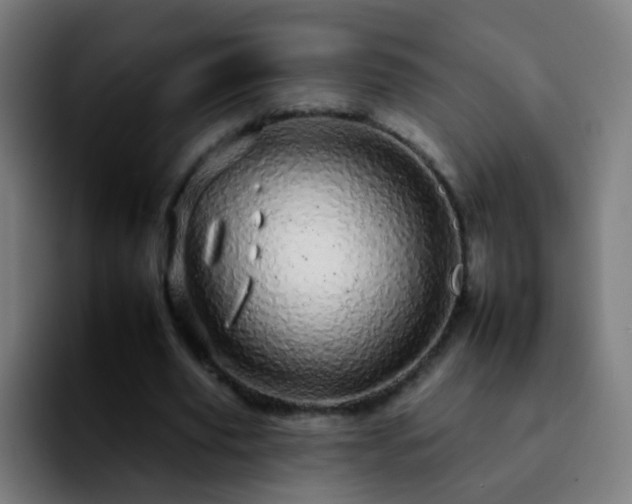 X0000092260629200709211120