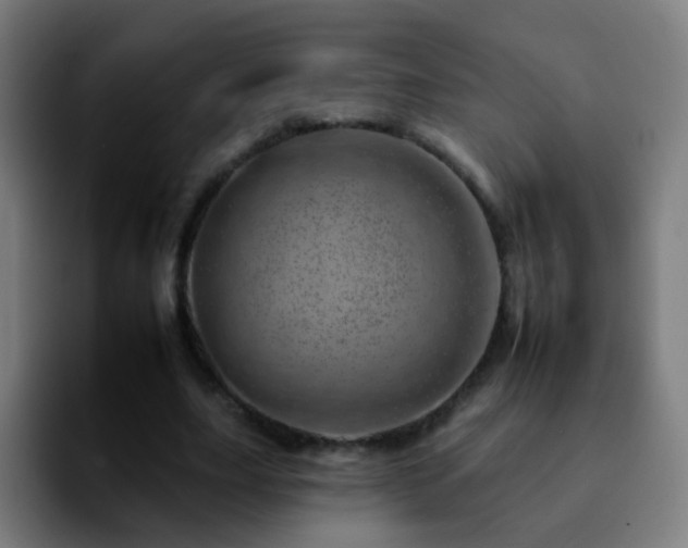 X0000092260631200709211120