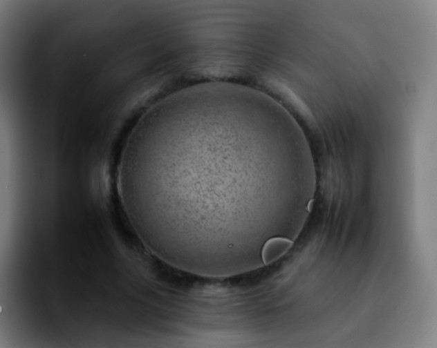 X0000092260635200709211120