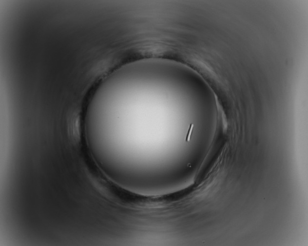 X0000092260638200709211120