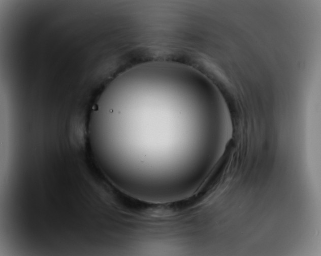 X0000092260644200709211120