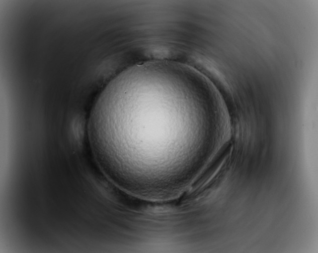 X0000092260645200709211120