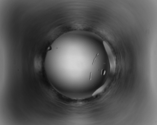 X0000092260647200709211120