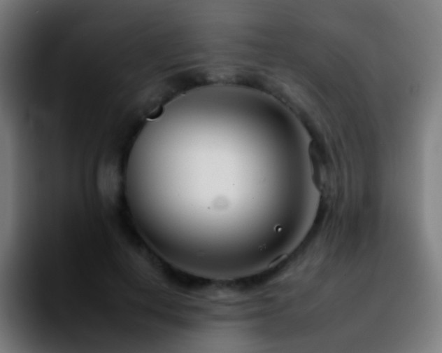 X0000092260648200709211120