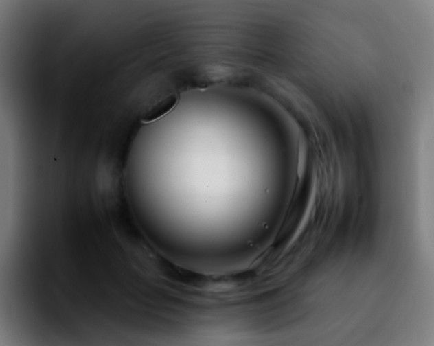 X0000092260653200709211120