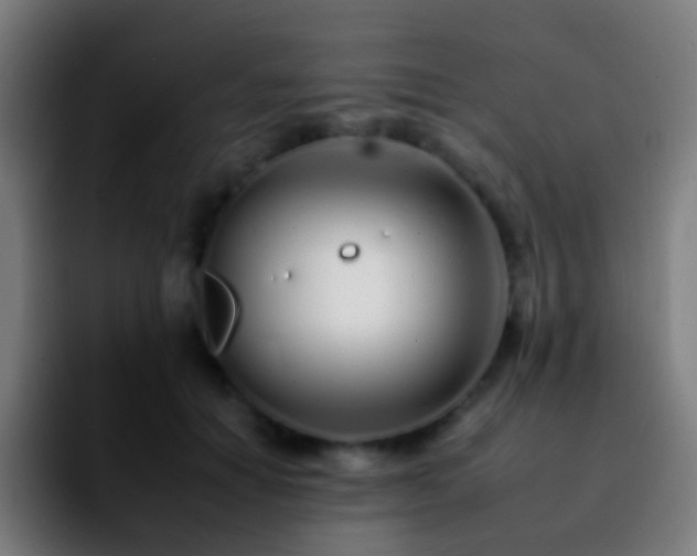 X0000092260654200709211120