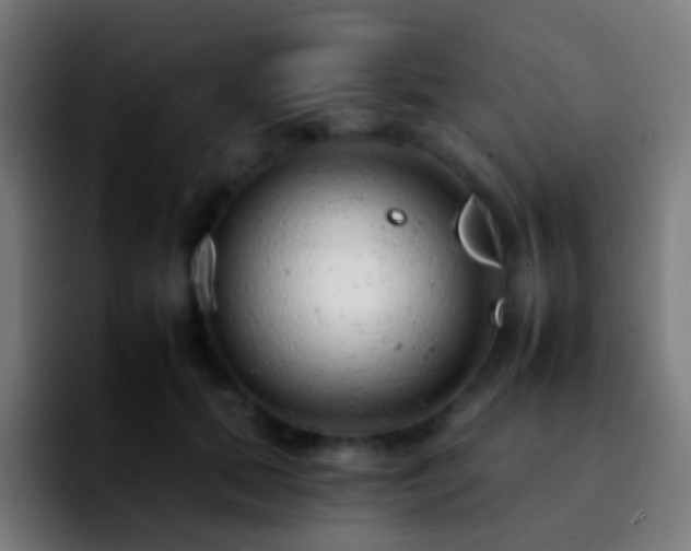 X0000092260655200709211120