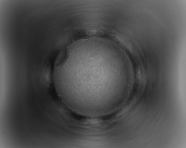 X0000092260659200709211120