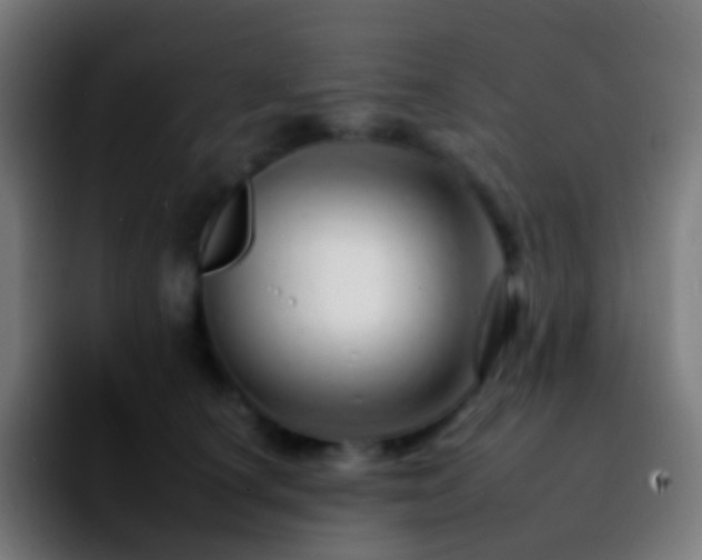 X0000092260660200709211120