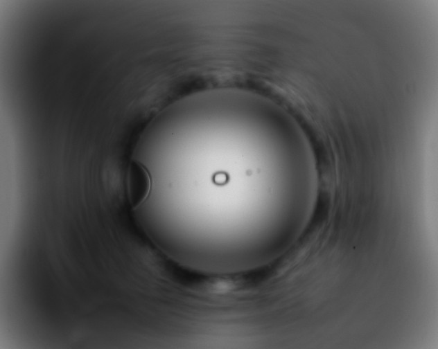 X0000092260662200709211120