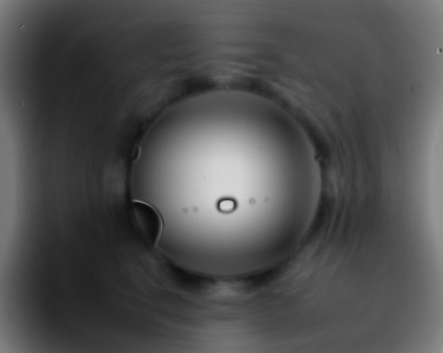 X0000092260664200709211120