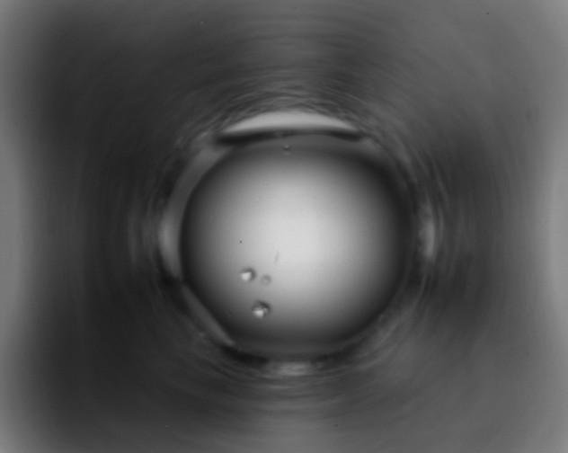 X0000092260665200709211120