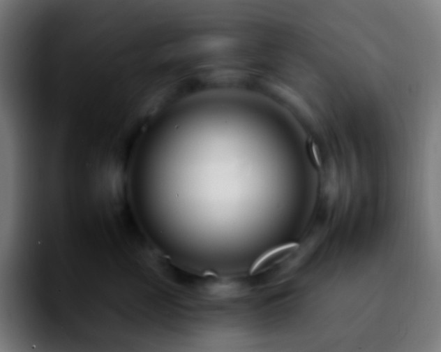 X0000092260669200709211120