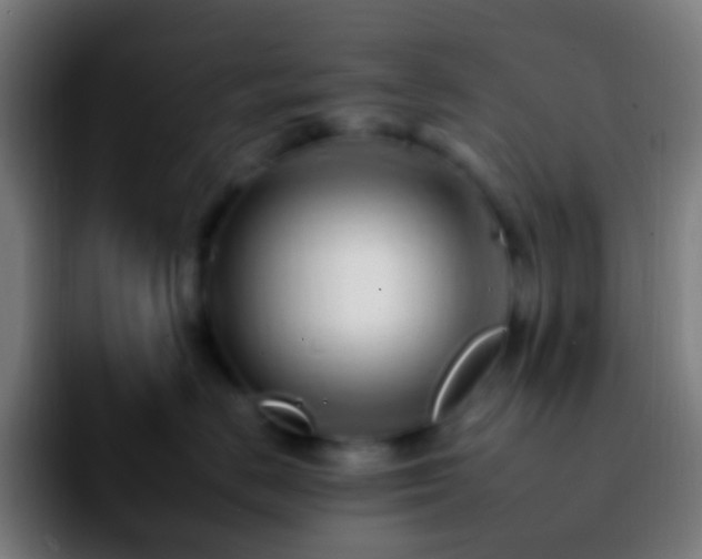 X0000092260670200709211120