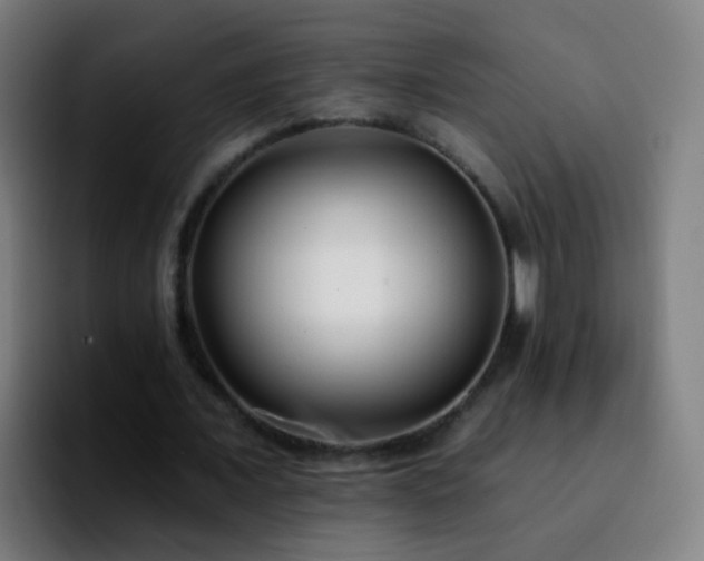 X0000092260675200709211120