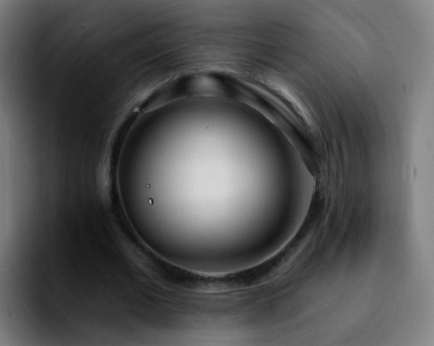 X0000092260677200709211120