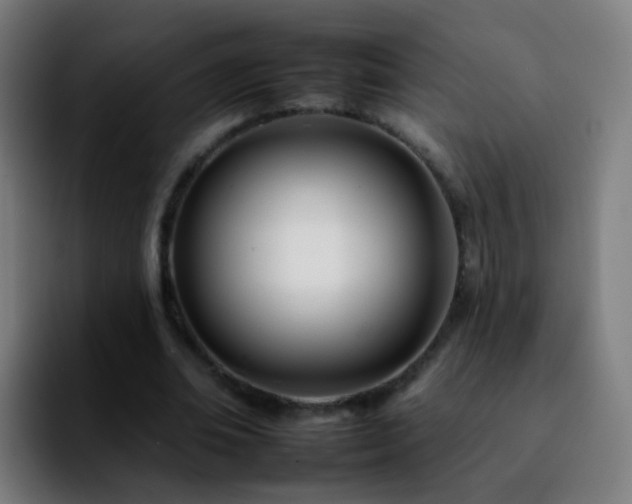 X0000092260678200709211119