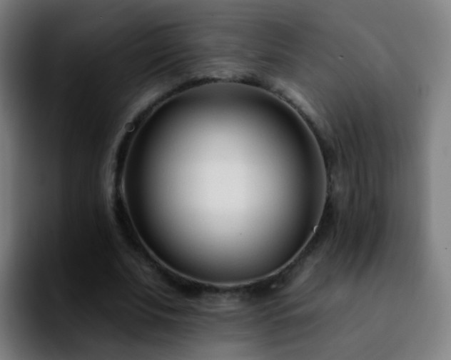 X0000092260679200709211119